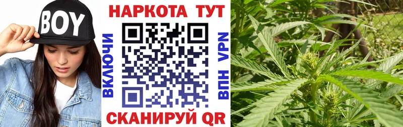 Где продают наркотики Купино АМФ  кракен онион  Меф мяу мяу  ГАШ  Каннабис 