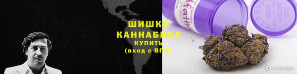 трава Аркадак