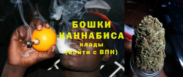 трава Аркадак
