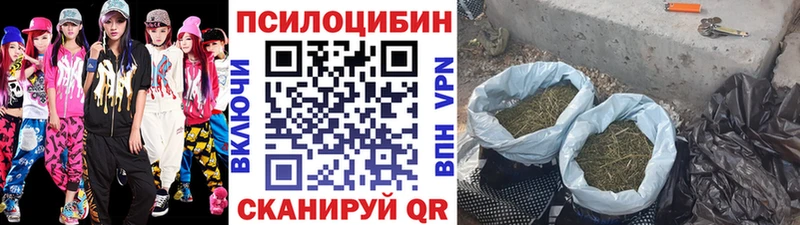 Галлюциногенные грибы прущие грибы Купино
